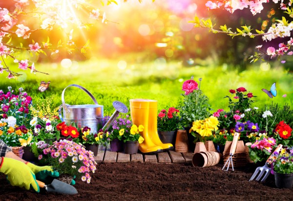 7 garden mistakes that can put off buyers